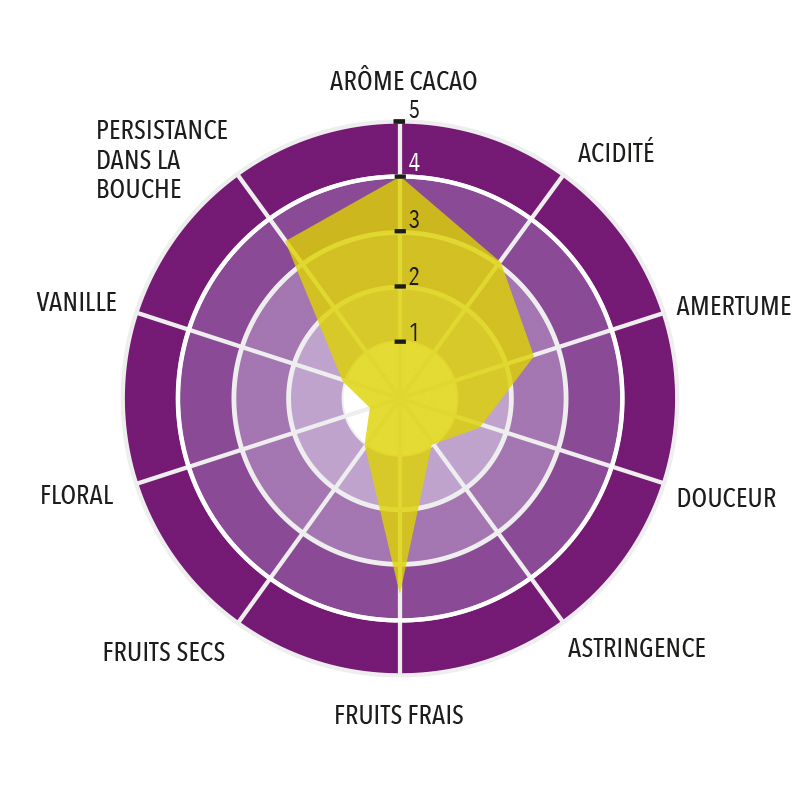 Profil gustatif de Chocolat Noir Pachiza